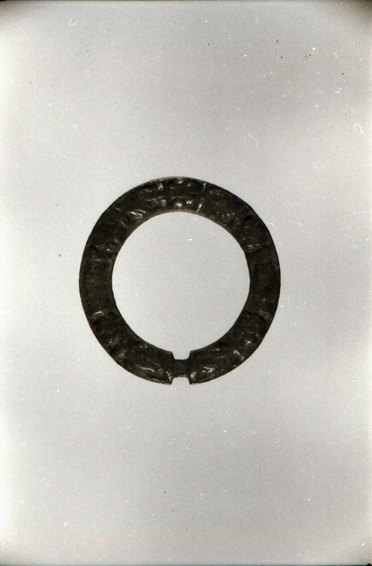 Rõngassõlg Keila linnuselt (A78)