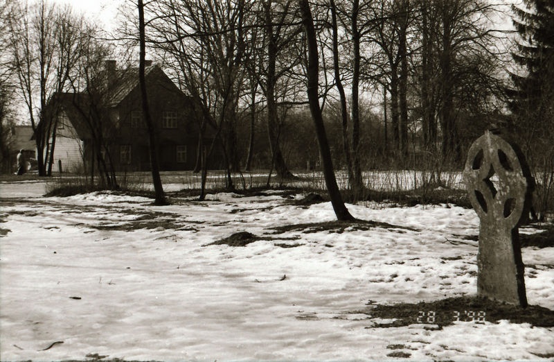 Rõngasrist Keila Kesklinna pargis