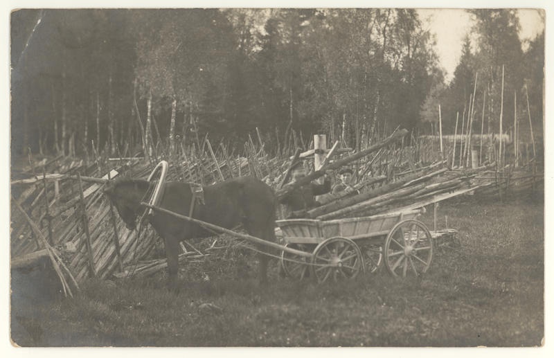 Voldemar ja Hans Krass Saarnakõrvel