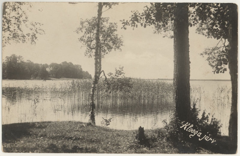 Klooga järv