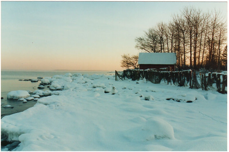 Viinistu rand talvel