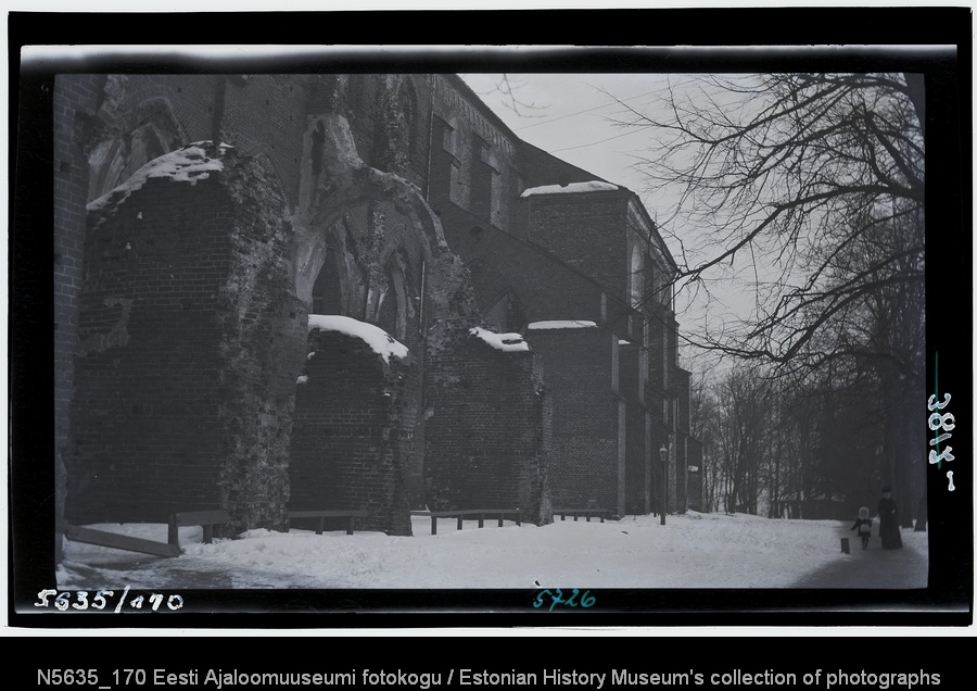 Ülikooli Raamatukogu, vaade kagust