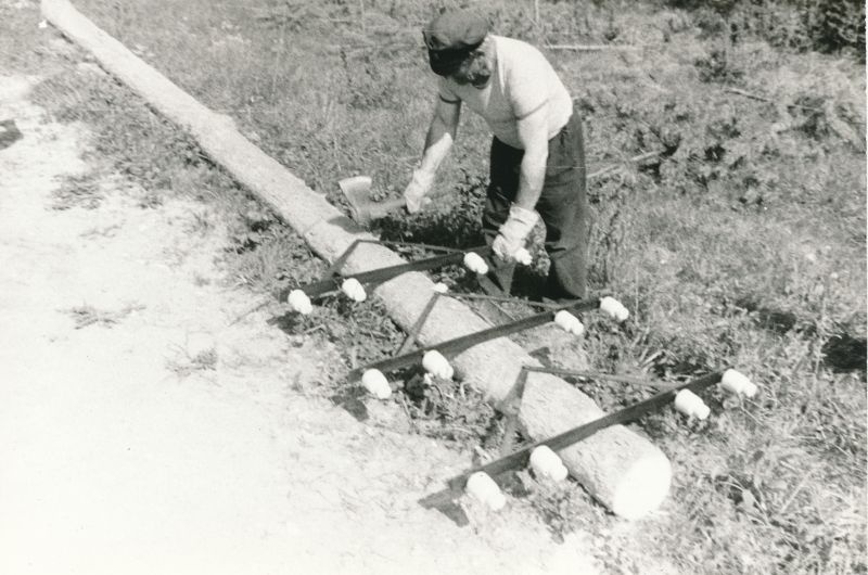 Foto. Haapsalu liinit. jsk. brigadir Hugo Kalju. Foto V. Pärtel, 1979
