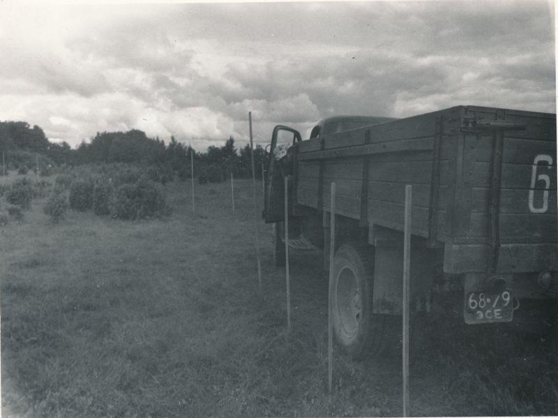 Foto. Haapsalu STES suvepäevad Kingissepa raj. Pagilas. Autode vigursõidu võistlus. Foto V. Pärtel, 1977