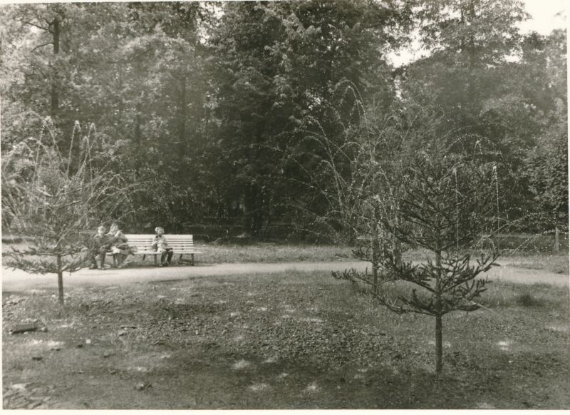 Foto. Haapsalu Rajooni Sidesõlme töötajad ekskursioonil Leningradis, Petrodvorets, 1980