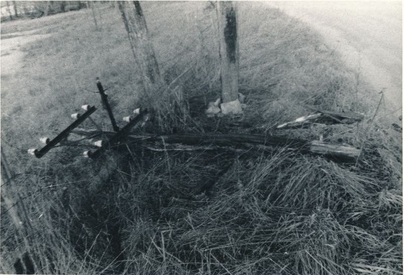 Foto. Tormi tagajärjed: purustatud telefoniliin. Foto V. Pärtel, 30.-31.12. 1983