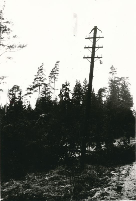 Foto. Tormi tagajärjed: metsamurd ja lõhutud liin Kabral. Foto V. Pärtel, 30.-31.12.1983