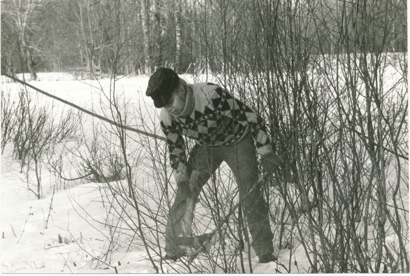 Foto. Haapsalu Sidesõlme laupäevak kevadel 1986. Võsa raiumine Haapsalu-Pärnu liinil. Harri Tau.