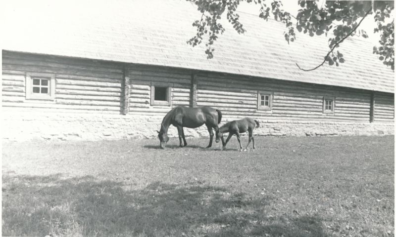 Foto. Isetegevuslike muuseumide töötajate seminar-õppereis. Foto V. Pärtel, 1983