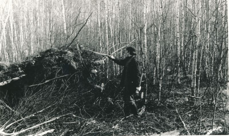 Foto. Haapsalu Sidesõlme töötajad kommunistlikul laupäevakul Ridala kaablitrassil. Foto V. Pärtel, 1979