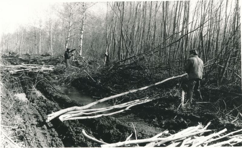 Foto. Haapsalu Sidesõlme töötajad kommunistlikul laupäevakul Ridala kaablitrassil. Foto V. Pärtel, 1979