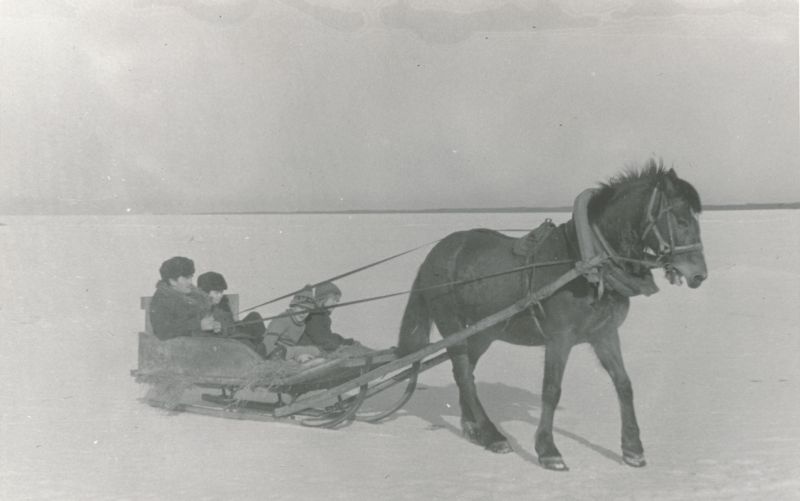 Foto. Talispordipäev Pullapääl, saanisõit. Foto V. Pärtel, varakevad 1983