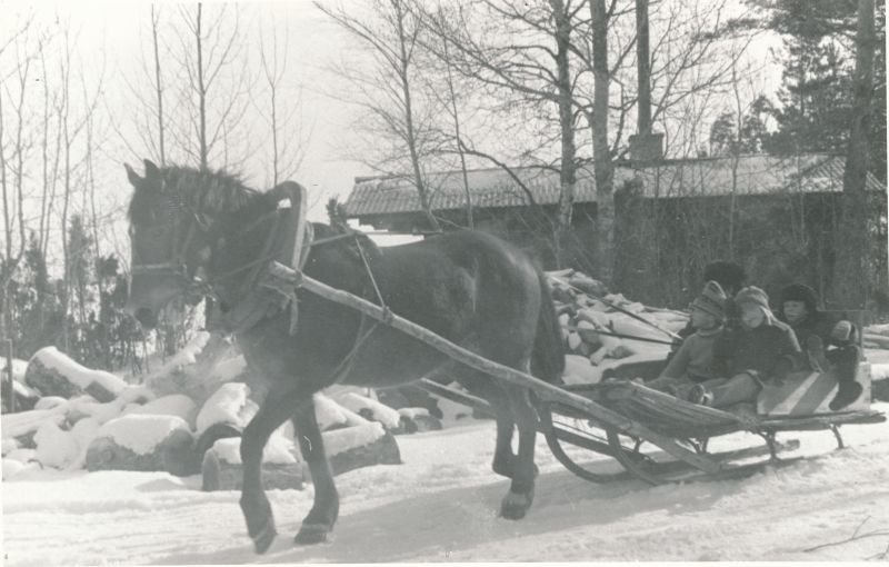 Foto. Talispordipäev Pullapääl, saanisõit. Foto V. Pärtel, varakevad 1983