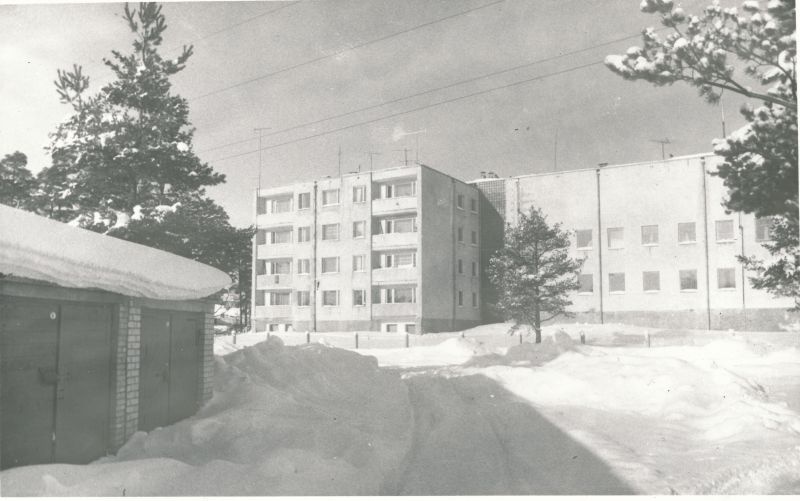 Foto. Lumerohke talv, hoone Tamme 21a. Foto V. Pärtel, 1981/1982