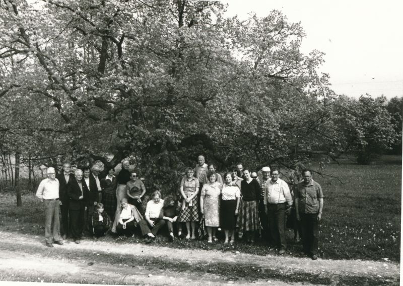 Foto. Isetegevuslike muuseumide töötajate seminar-õppereis Hiiumaale. Ühispilt Ülendi niinepuu juures. Foto V. Pärtel, 1984