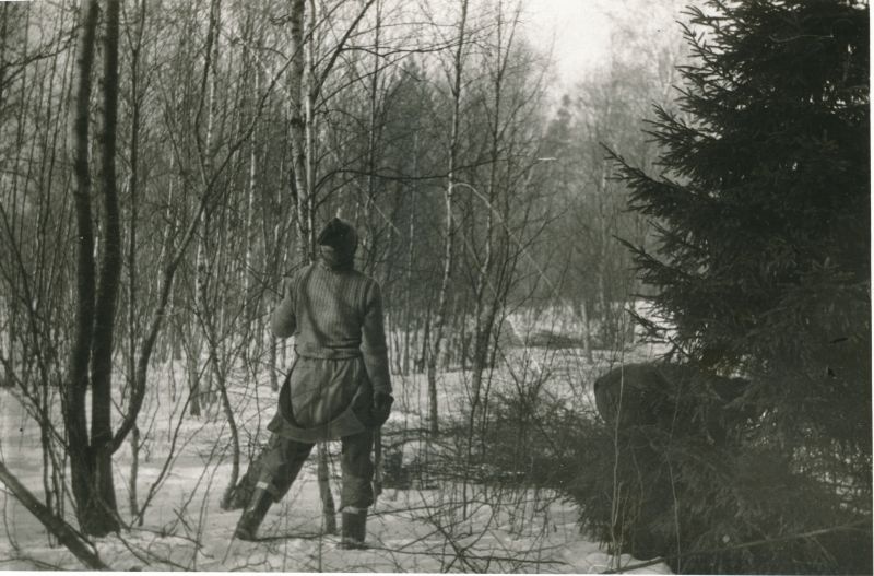 Foto. Haapsalu Sidesõlme laupäevak kevadel 1986. Võsa raiumine Haapsalu-Pärnu liinil.
