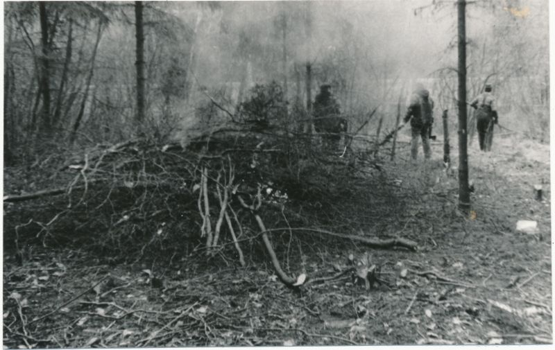 Foto. Läänemaa Sidesõlme töötajad Valgeväljal ehitusplatsi võsast ja metsast puhastamas kevadel 1991.