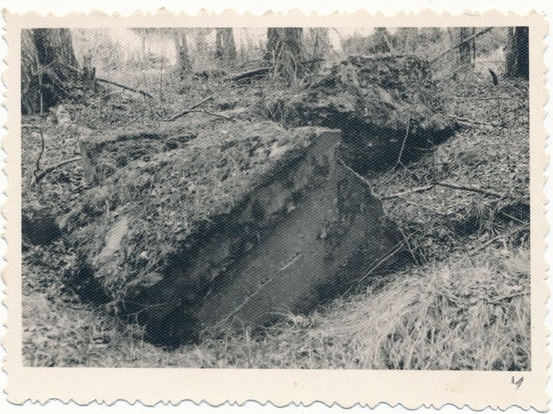 Foto. Haapsalu rajoon Päraküla, I maailmasõja aegse raadiosaatja (1914-1917) masti jäänused