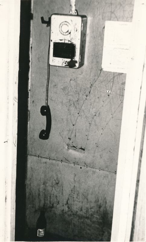 Foto. Haapsalu STES fotovõistluse tööd 1979-1980, Peale "sooja" kõnelust