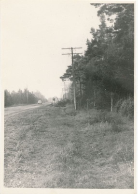 Foto. Saaremaa sideliinide tormikahjustuste likvideerimine 1969. aasta lõpus  duplicate photo