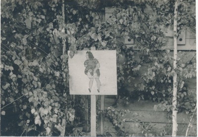 Foto. Haapsalu STES suvepäevad Pagilas, 1971  similar photo