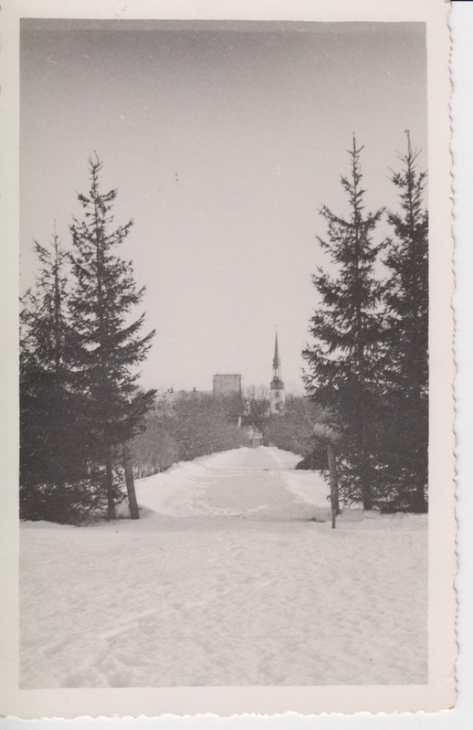 ETK Põltsamaa Tehaste aiand