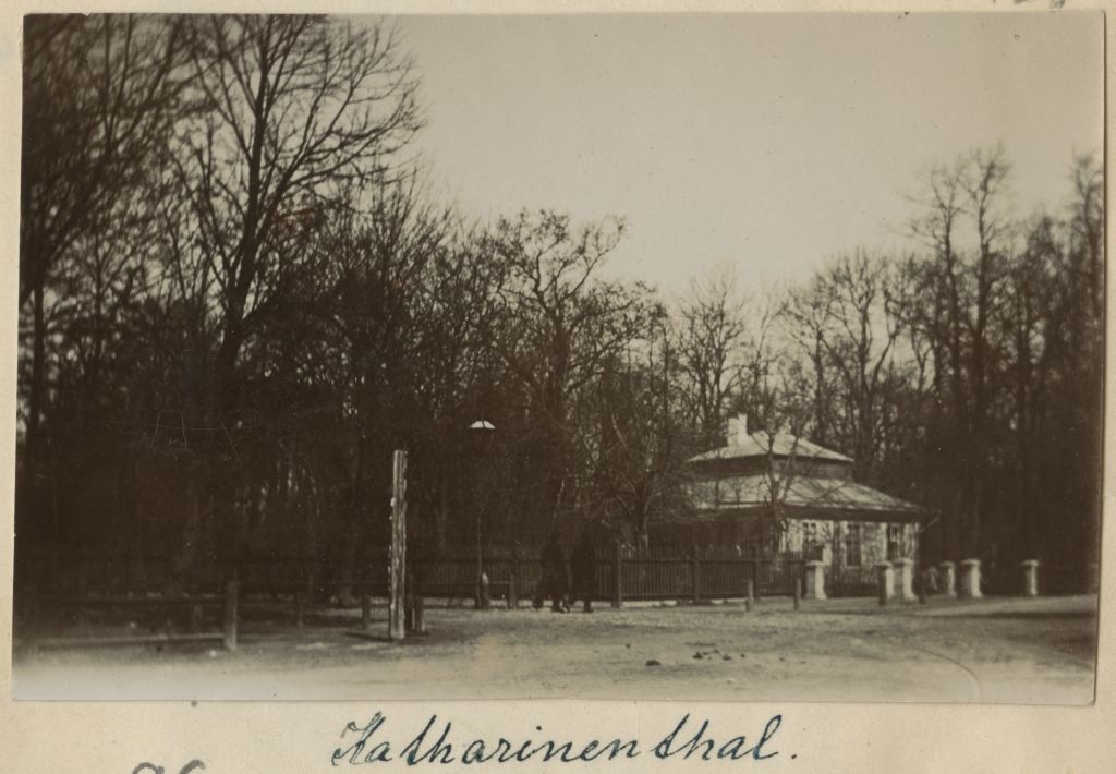 Kadriorg, Tallinn