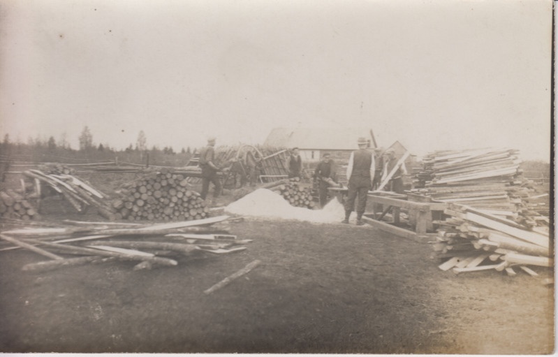 Puulattide lõikamine, Pajusi vald