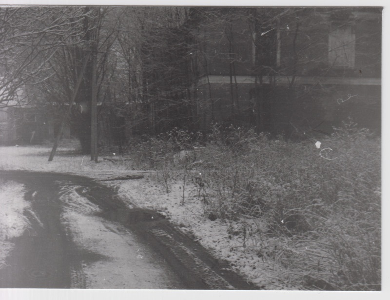 Endine Rutikvere mõisa härrastemaja ja park