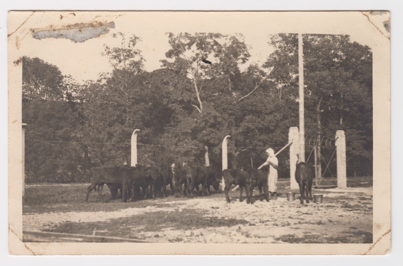 August Michelsoni, Põltsamaa fotograafi, kasuema Emilie
