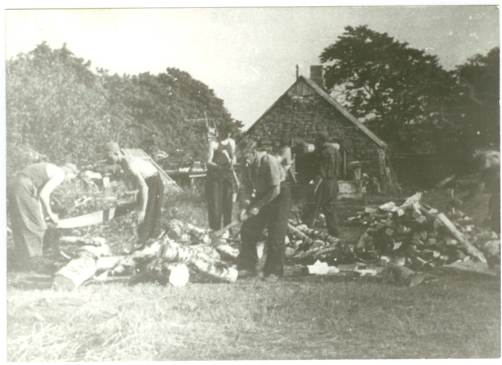 Puulõhkumistalgud Koguvas