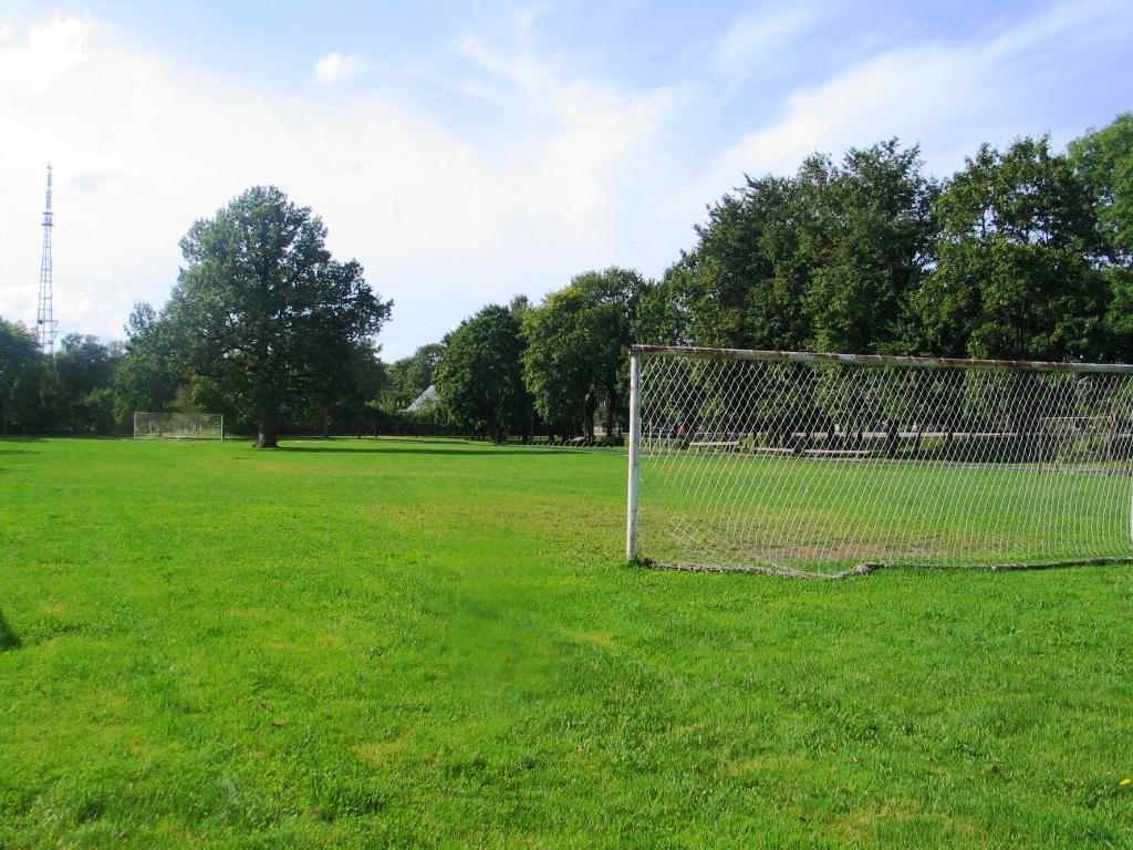 Orissaare 043 - Football stadium in Orissaare with an oak in the middle