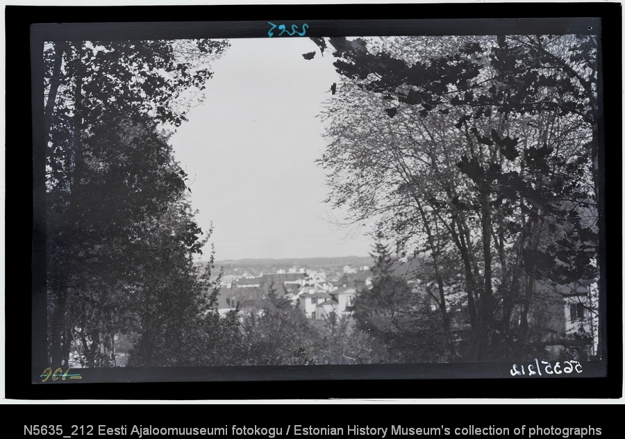 Vaade linnale Toomemäelt