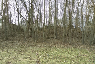 Varangu Manor main building Lääne-Viru county Haljala county Varangu village rephoto