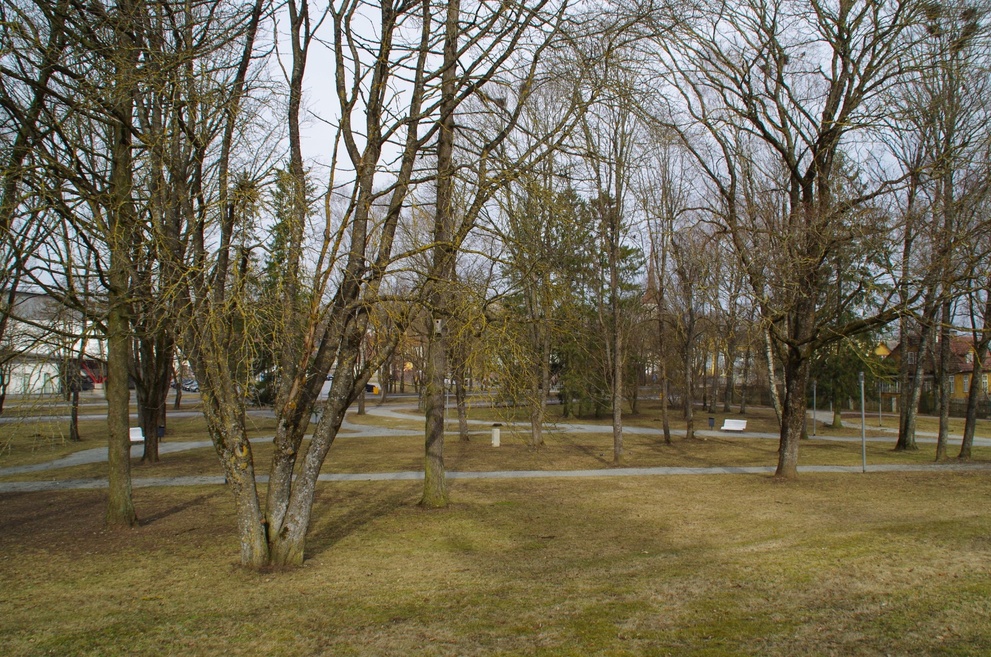 Photo W.S. Stavenhagen gravity "Rakvere" rephoto