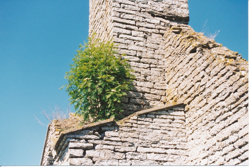 Suur-Pakri kabel