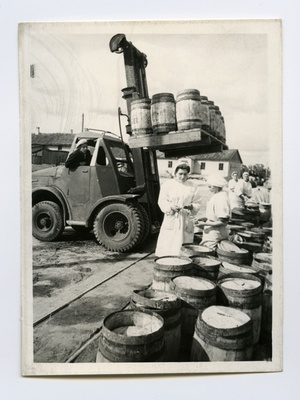 Pärnu Conserved Fishing Container Liiva Check, loading of fish canned with lift  duplicate photo