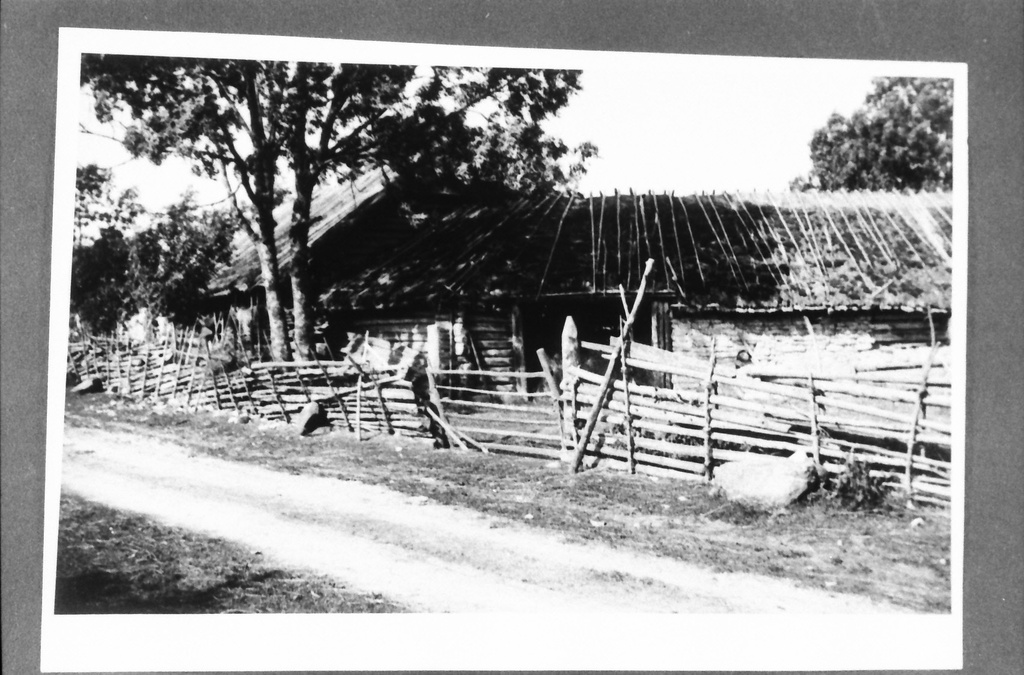 Tallid - laudad on poolringis ümber õue