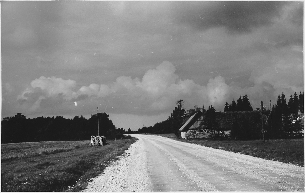 Linnamäe - Riguldi maantee