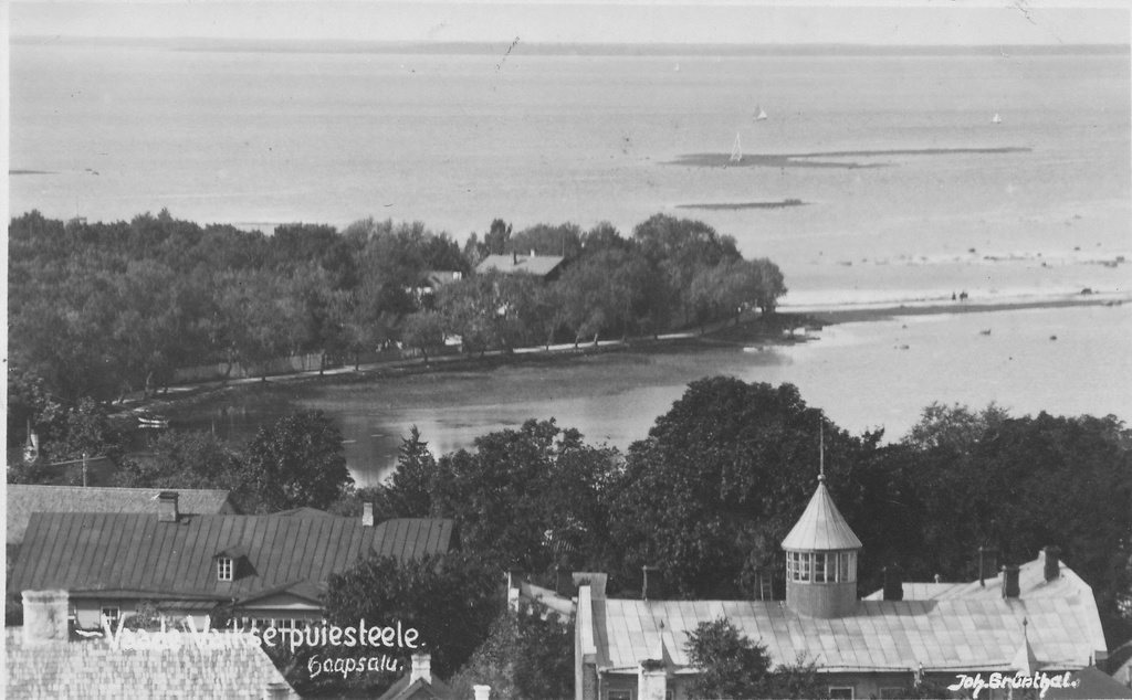 Vaade Vaiksele puiesteele