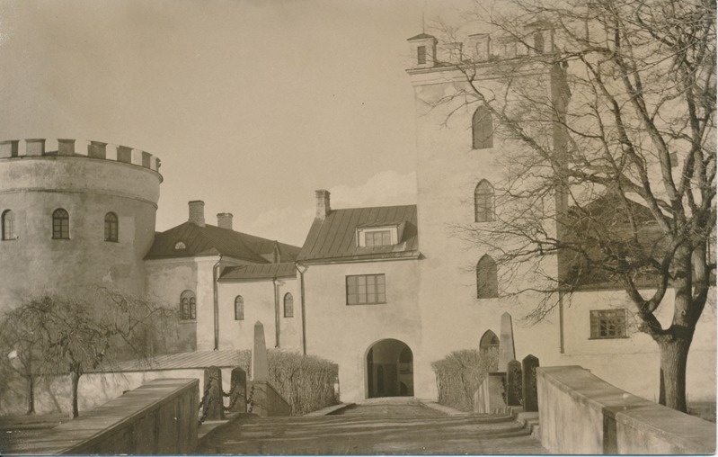 Koluvere loss