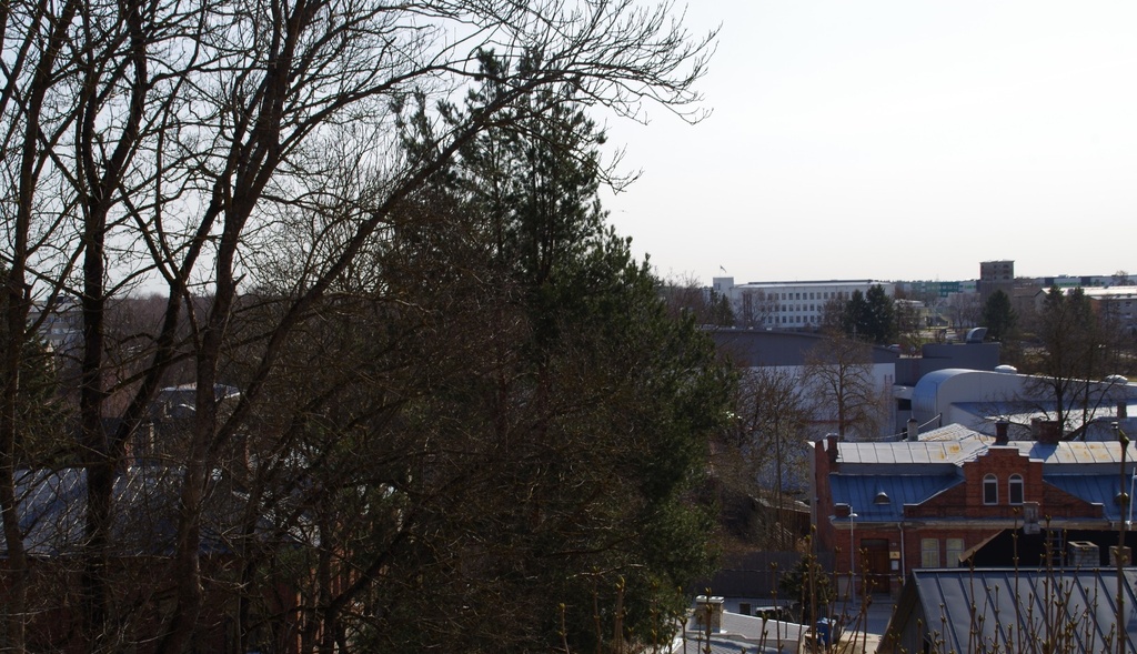 Vaade Rakvere Vallimäelt ida suunas rephoto