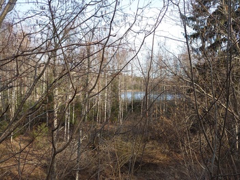 Neeruti Eesjärv, Kadrina khk rephoto