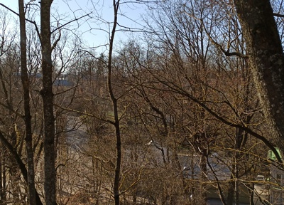 View from Toomemäki towards the Catholic Church rephoto