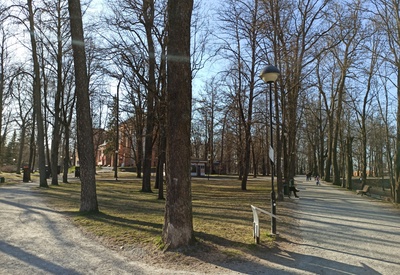 Allee Toomemäel rephoto