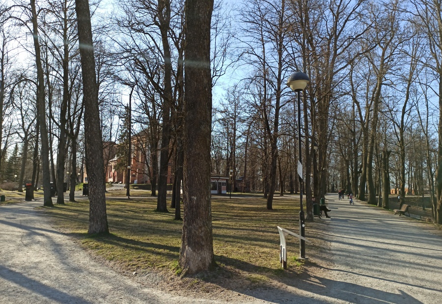 Allee Toomemäel rephoto