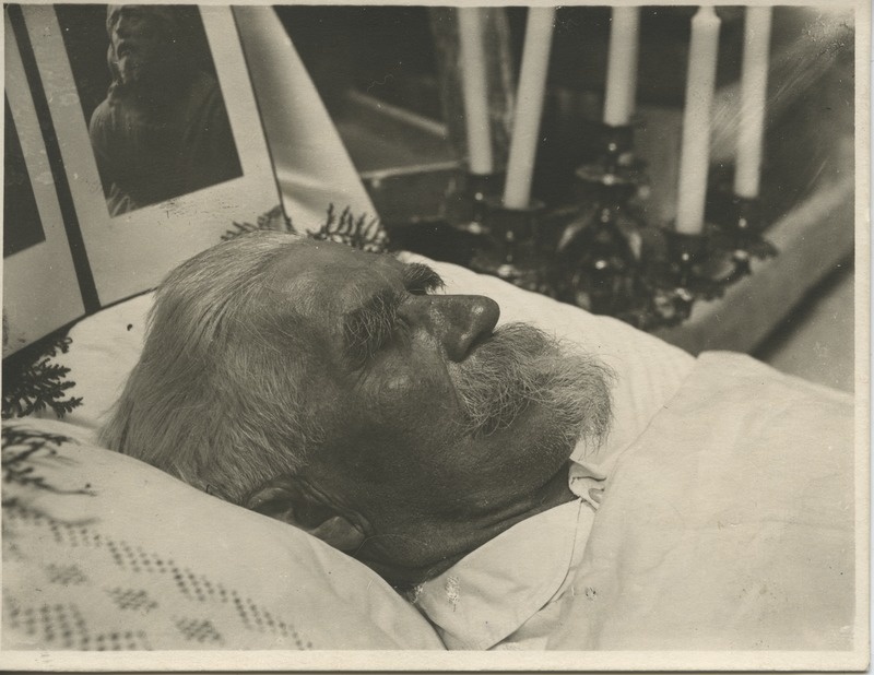 Kujur Amandus Adamson surivoodil