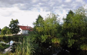 Rapla camphouse. Place under trees in 1906. The revolution's participants were shot and beaten rephoto