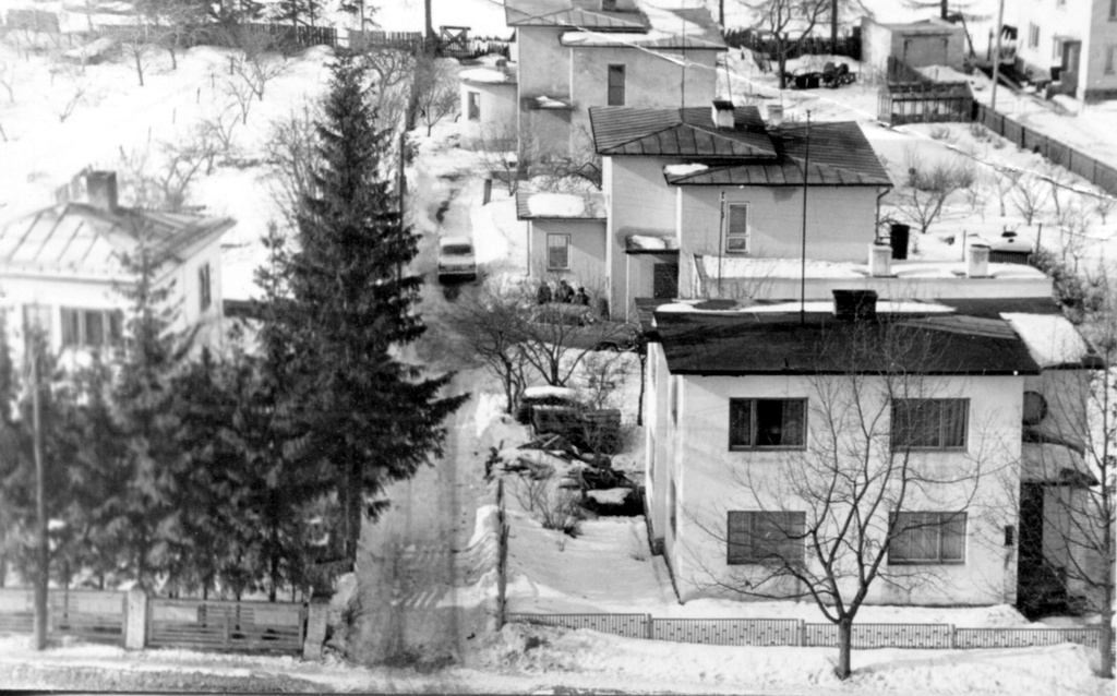 View from the castle to Vallikraavi Street