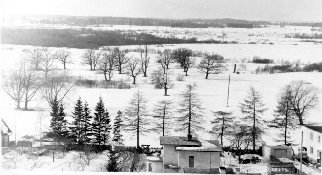 View from the castle towards Vallikraavi Street